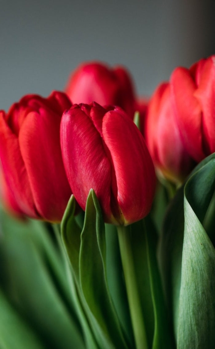 �P(gu��n)����I(y��)��ΰl(f��)չ����SEO��(n��i)��朳�Ҋ���F(xi��n)��ʽ��վ�c(di��n)��(n��i)����朽ӵ����c(di��n)���h